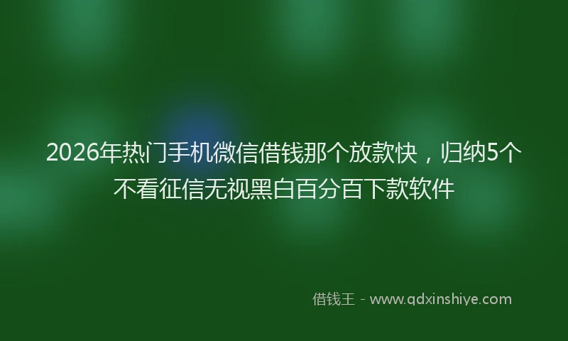 2026年热门手机微信借钱那个放款快，归纳5个不看征信无视黑白百分百下款软件