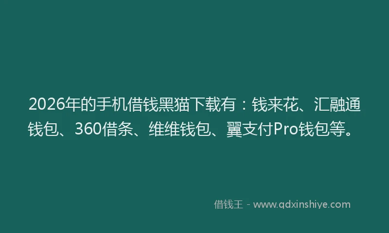 2026年的手机借钱黑猫下载有：钱来花、汇融通钱包、360借条、维维钱包、翼支付Pro钱包等。
