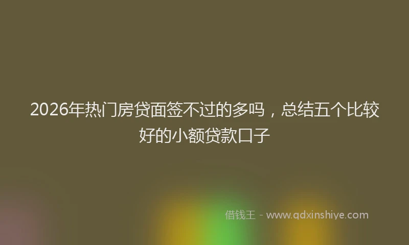 2026年热门房贷面签不过的多吗，总结五个比较好的小额贷款口子