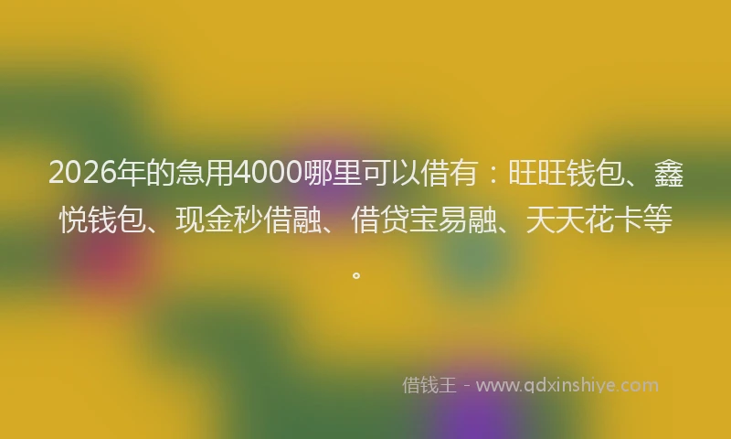 2026年的急用4000哪里可以借有：旺旺钱包、鑫悦钱包、现金秒借融、借贷宝易融、天天花卡等。