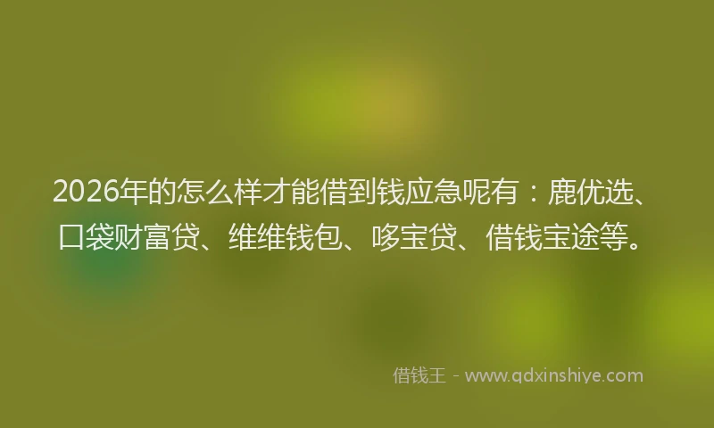 2026年的怎么样才能借到钱应急呢有：鹿优选、口袋财富贷、维维钱包、哆宝贷、借钱宝途等。