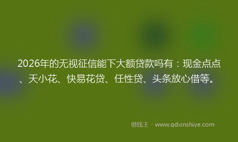 2026年的无视征信能下大额贷款吗有：现金点点、天小花、快易花贷、任性贷、头条放心借等。