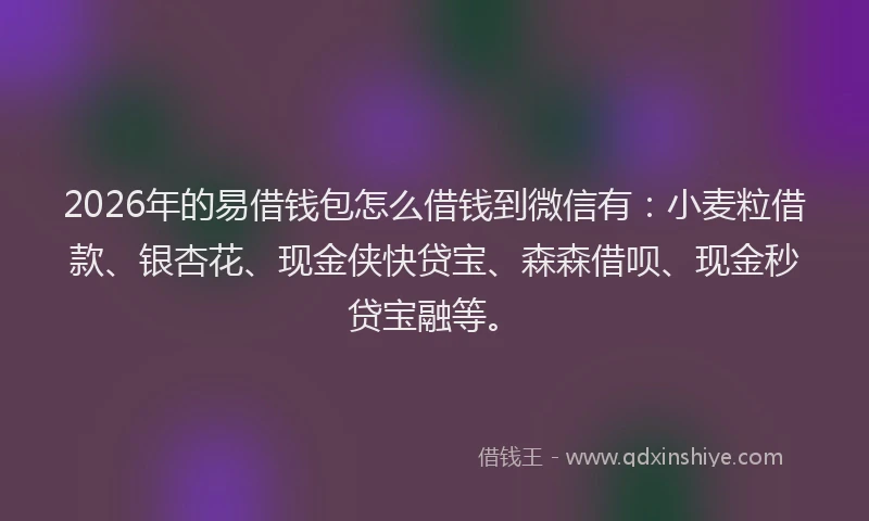 2026年的易借钱包怎么借钱到微信有：小麦粒借款、银杏花、现金侠快贷宝、森森借呗、现金秒贷宝融等。