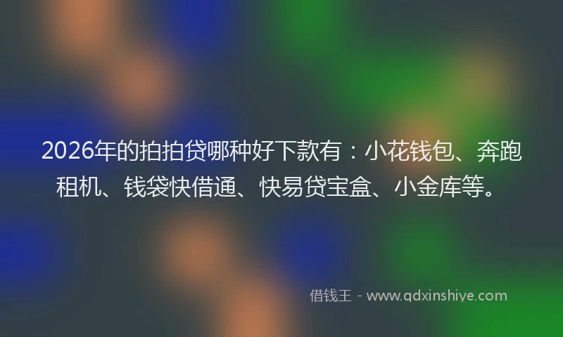 2026年的拍拍贷哪种好下款有：小花钱包、奔跑租机、钱袋快借通、快易贷宝盒、小金库等。