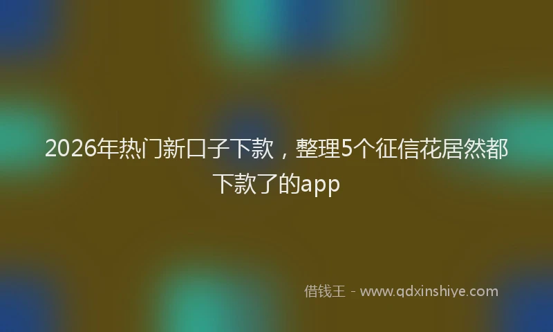 2026年热门新口子下款，整理5个征信花居然都下款了的app