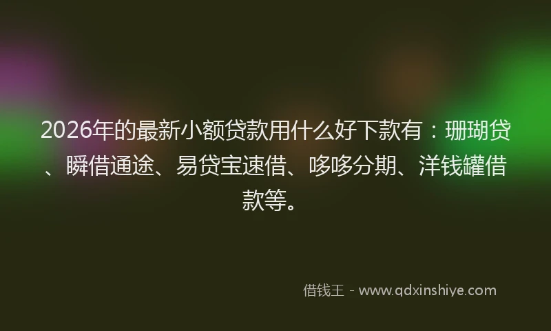 2026年的最新小额贷款用什么好下款有：珊瑚贷、瞬借通途、易贷宝速借、哆哆分期、洋钱罐借款等。