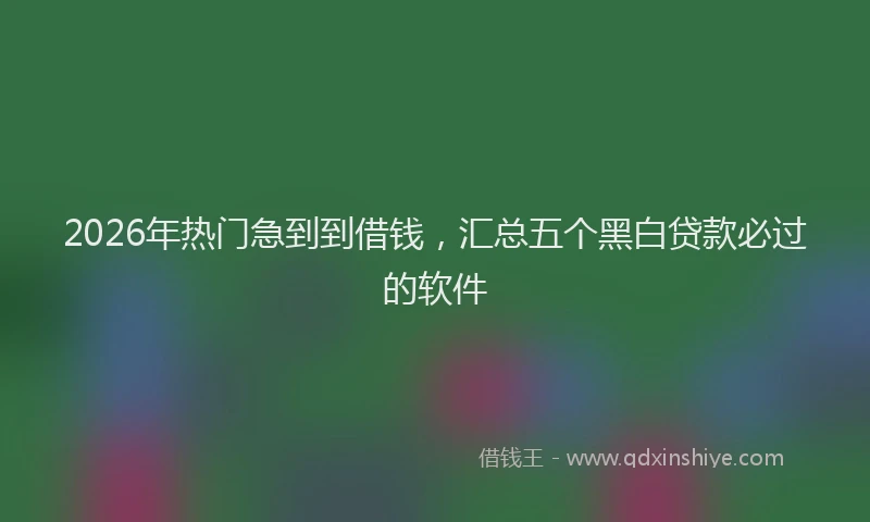 2026年热门急到到借钱，汇总五个黑白贷款必过的软件