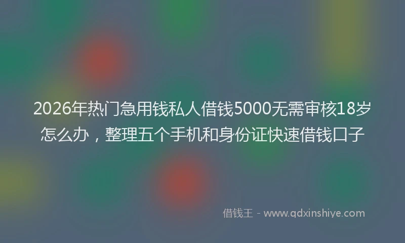 2026年热门急用钱私人借钱5000无需审核18岁怎么办,整理五个手机和身份证快速借钱口子