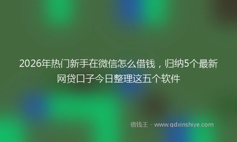 2026年热门新手在微信怎么借钱，归纳5个最新网贷口子今日整理这五个软件