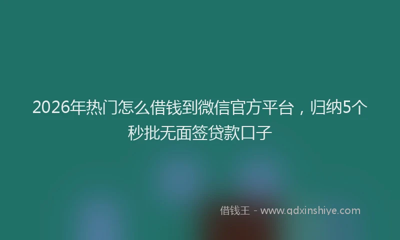 2026年热门怎么借钱到微信官方平台，归纳5个秒批无面签贷款口子