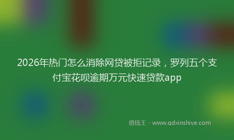 2026年热门怎么消除网贷被拒记录，罗列五个支付宝花呗逾期万元快速贷款app