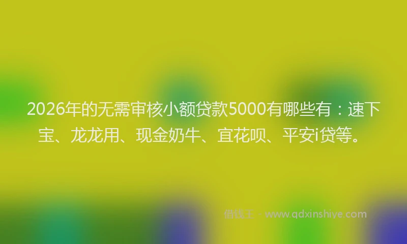 2026年的无需审核小额贷款5000有哪些有：速下宝、龙龙用、现金奶牛、宜花呗、平安i贷等。