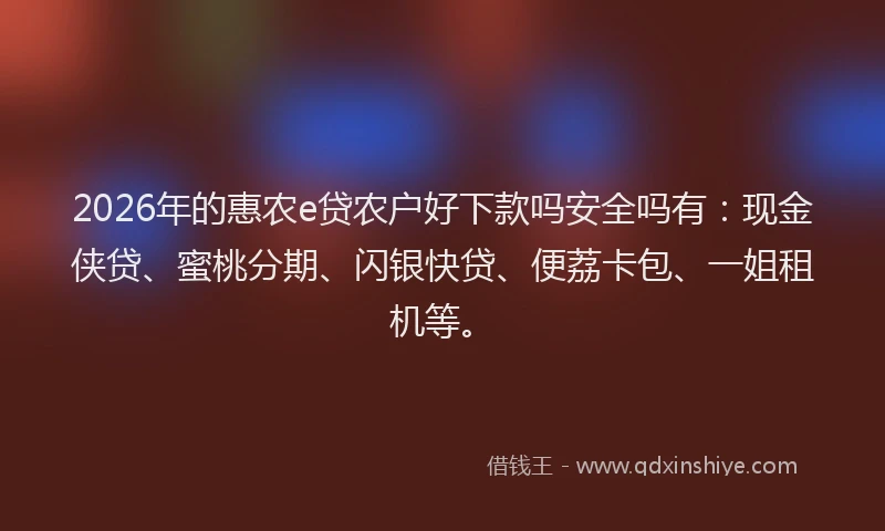2026年的惠农e贷农户好下款吗安全吗有：现金侠贷、蜜桃分期、闪银快贷、便荔卡包、一姐租机等。
