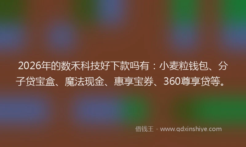 2026年的数禾科技好下款吗有：小麦粒钱包、分子贷宝盒、魔法现金、惠享宝券、360尊享贷等。