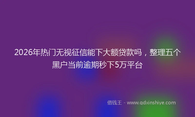 2026年热门无视征信能下大额贷款吗，整理五个黑户当前逾期秒下5万平台