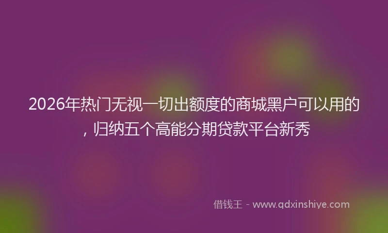 2026年热门无视一切出额度的商城黑户可以用的，归纳五个高能分期贷款平台新秀
