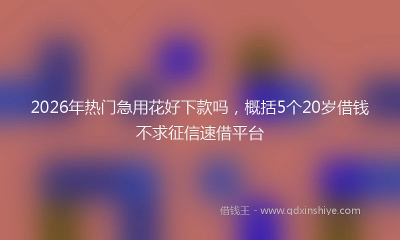 2026年热门急用花好下款吗，概括5个20岁借钱不求征信速借平台