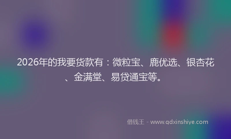 2026年的我要货款有：微粒宝、鹿优选、银杏花、金满堂、易贷通宝等。