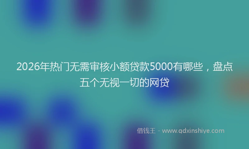 2026年热门无需审核小额贷款5000有哪些，盘点五个无视一切的网贷
