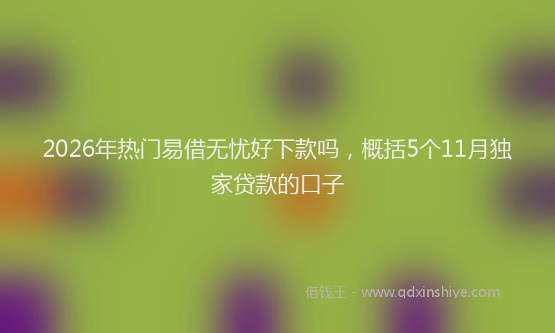 2026年热门易借无忧好下款吗，概括5个11月独家贷款的口子
