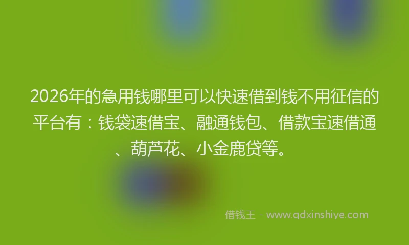 2026年的急用钱哪里可以快速借到钱不用征信的平台有：钱袋速借宝、融通钱包、借款宝速借通、葫芦花、小金鹿贷等。