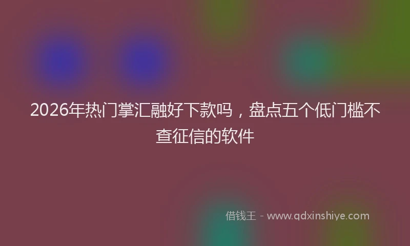2026年热门掌汇融好下款吗，盘点五个低门槛不查征信的软件