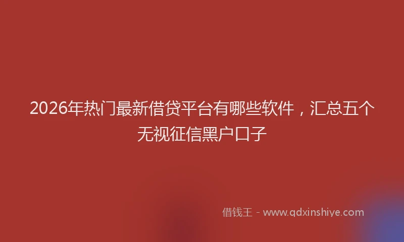 2026年热门最新借贷平台有哪些软件，汇总五个无视征信黑户口子