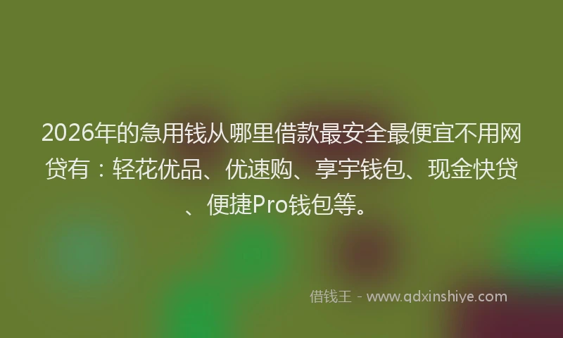 2026年的急用钱从哪里借款最安全最便宜不用网贷有：轻花优品、优速购、享宇钱包、现金快贷、便捷Pro钱包等。