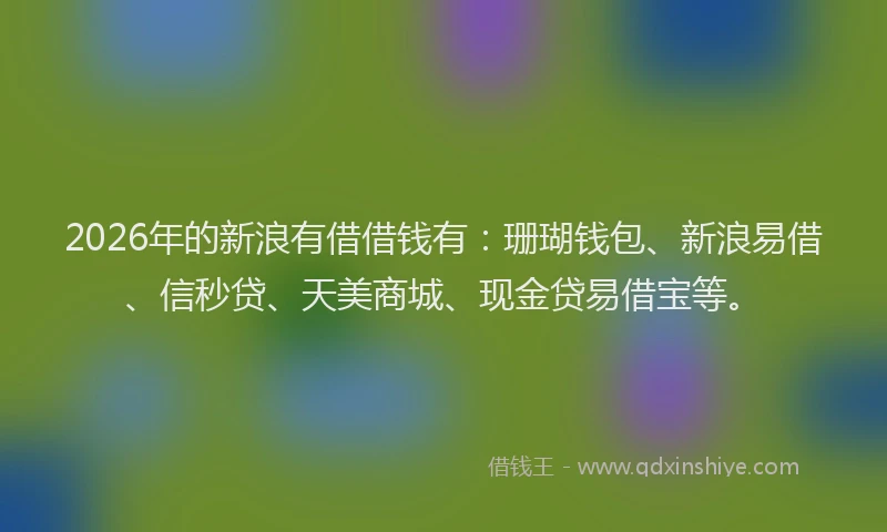 2026年的新浪有借借钱有：珊瑚钱包、新浪易借、信秒贷、天美商城、现金贷易借宝等。