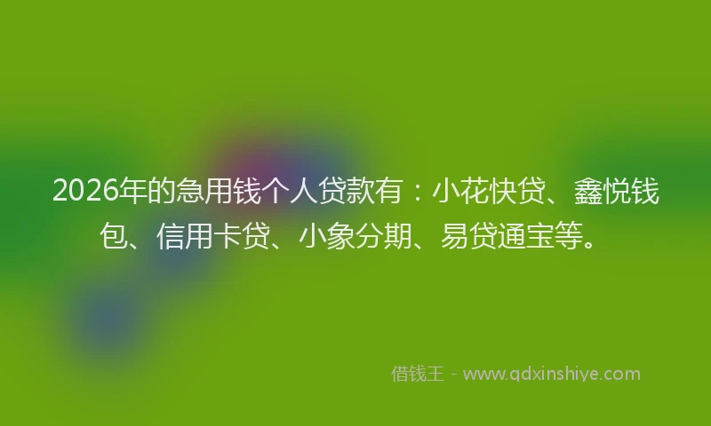 2026年的急用钱个人贷款有：小花快贷、鑫悦钱包、信用卡贷、小象分期、易贷通宝等。