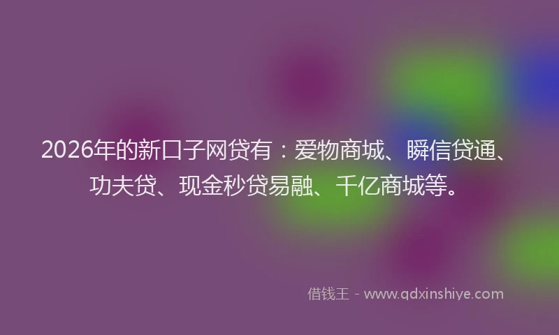 2026年的新口子网贷有：爱物商城、瞬信贷通、功夫贷、现金秒贷易融、千亿商城等。