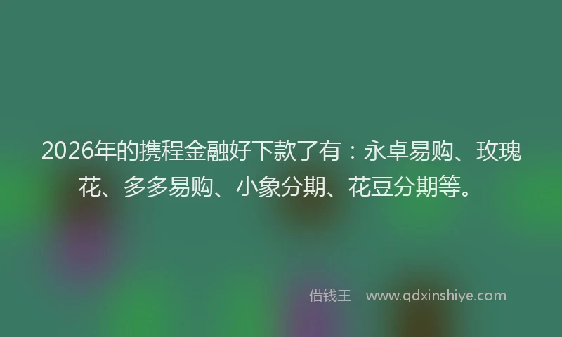 2026年的携程金融好下款了有：永卓易购、玫瑰花、多多易购、小象分期、花豆分期等。