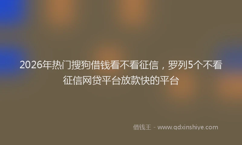 2026年热门搜狗借钱看不看征信，罗列5个不看征信网贷平台放款快的平台