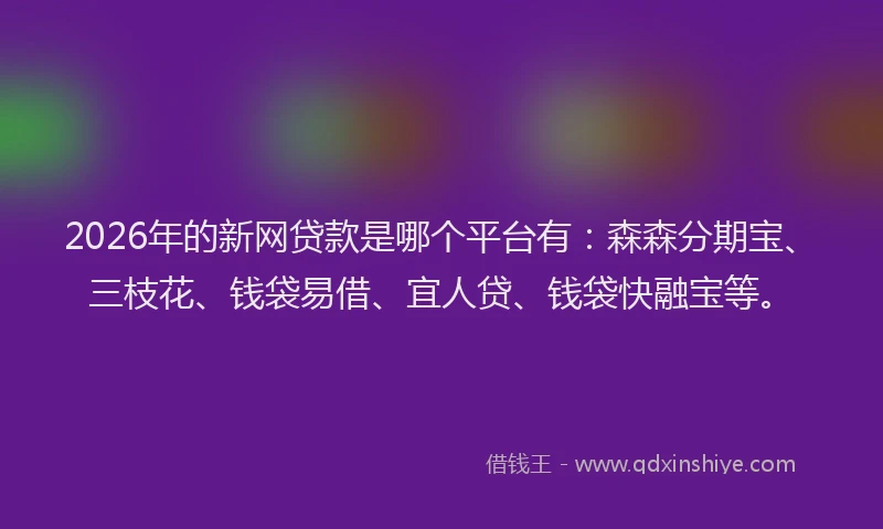 2026年的新网贷款是哪个平台有：森森分期宝、三枝花、钱袋易借、宜人贷、钱袋快融宝等。