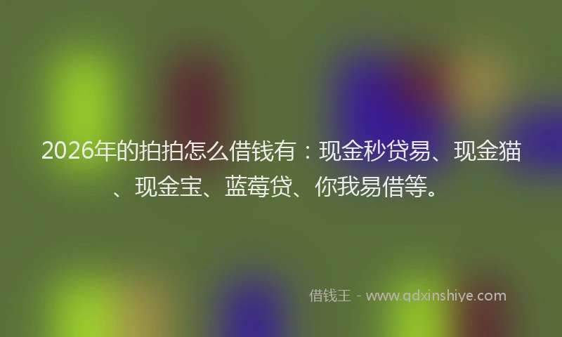 2026年的拍拍怎么借钱有:现金秒贷易、现金猫、现金宝、蓝莓贷、你我易借等。