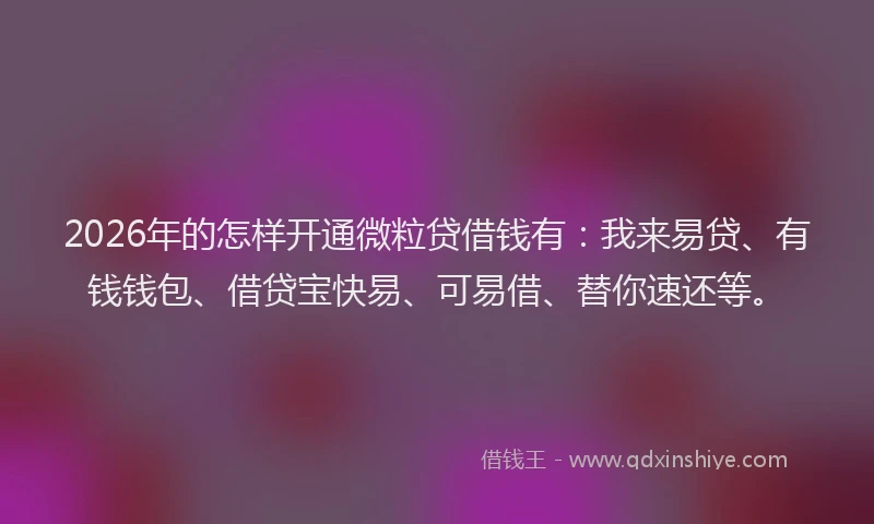 2026年的怎样开通微粒贷借钱有：我来易贷、有钱钱包、借贷宝快易、可易借、替你速还等。