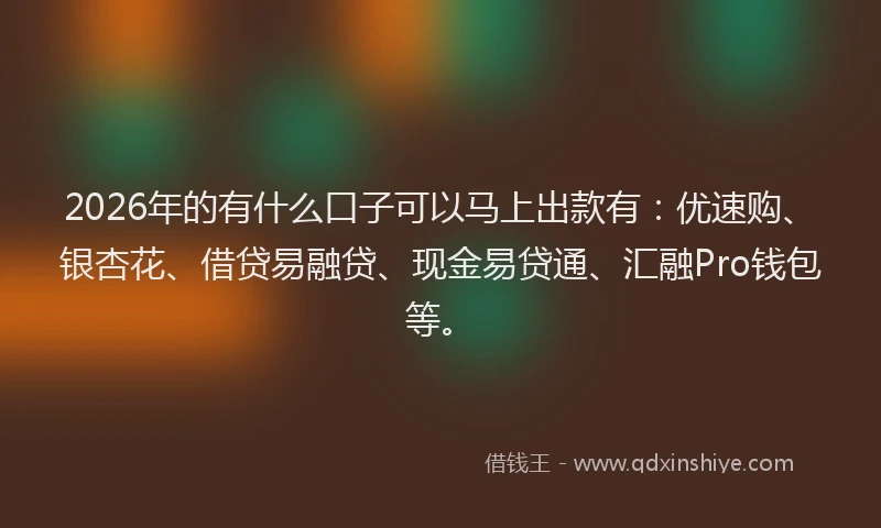 2026年的有什么口子可以马上出款有：优速购、银杏花、借贷易融贷、现金易贷通、汇融Pro钱包等。