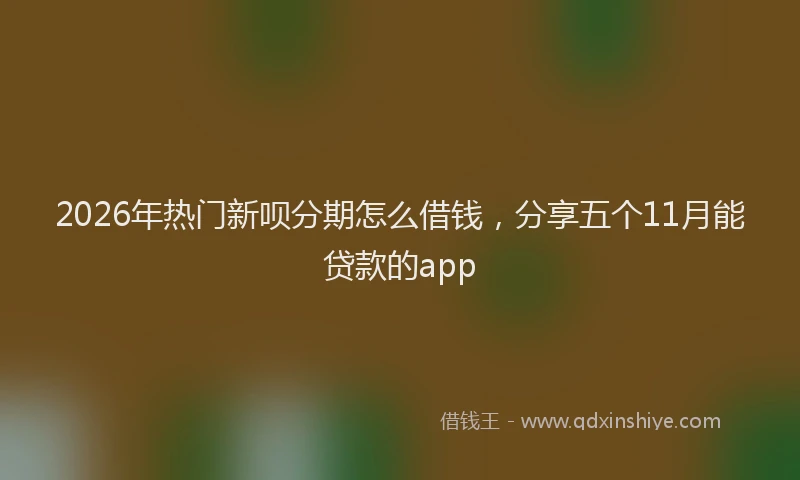 2026年热门新呗分期怎么借钱，分享五个11月能贷款的app