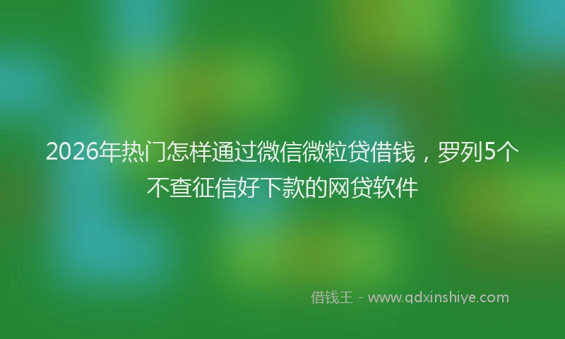 2026年热门怎样通过微信微粒贷借钱，罗列5个不查征信好下款的网贷软件