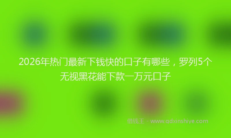 2026年热门最新下钱快的口子有哪些，罗列5个无视黑花能下款一万元口子