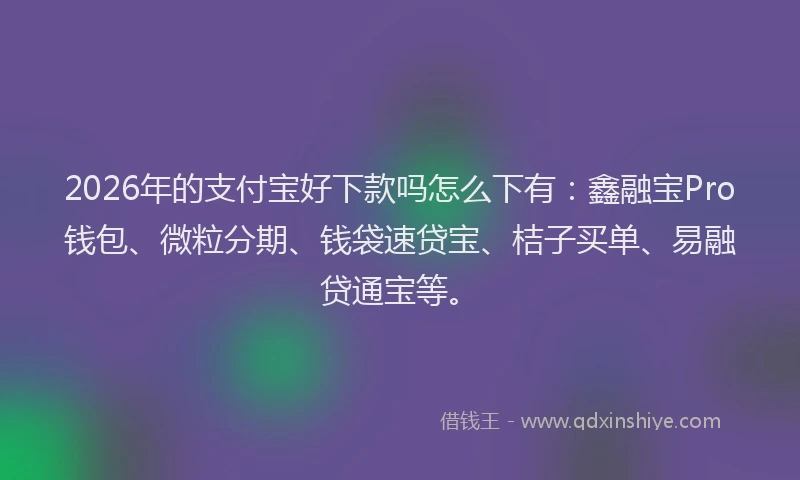 2026年的支付宝好下款吗怎么下有：鑫融宝Pro钱包、微粒分期、钱袋速贷宝、桔子买单、易融贷通宝等。