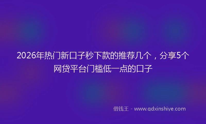 2026年热门新口子秒下款的推荐几个，分享5个网贷平台门槛低一点的口子