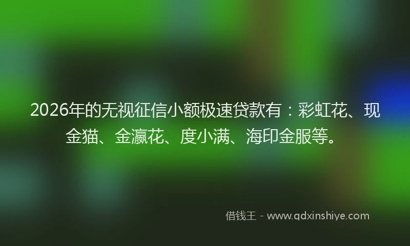 2026年的无视征信小额极速贷款有：彩虹花、现金猫、金瀛花、度小满、海印金服等。