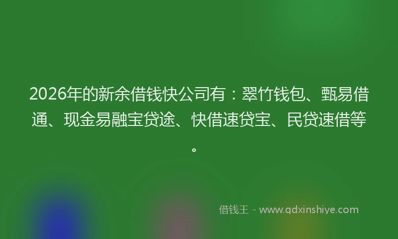 2026年的新余借钱快公司有：翠竹钱包、甄易借通、现金易融宝贷途、快借速贷宝、民贷速借等。