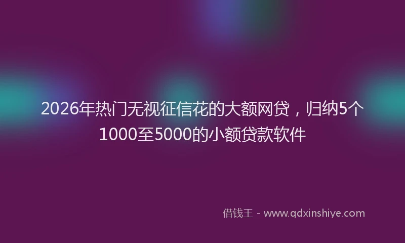 2026年热门无视征信花的大额网贷，归纳5个1000至5000的小额贷款软件