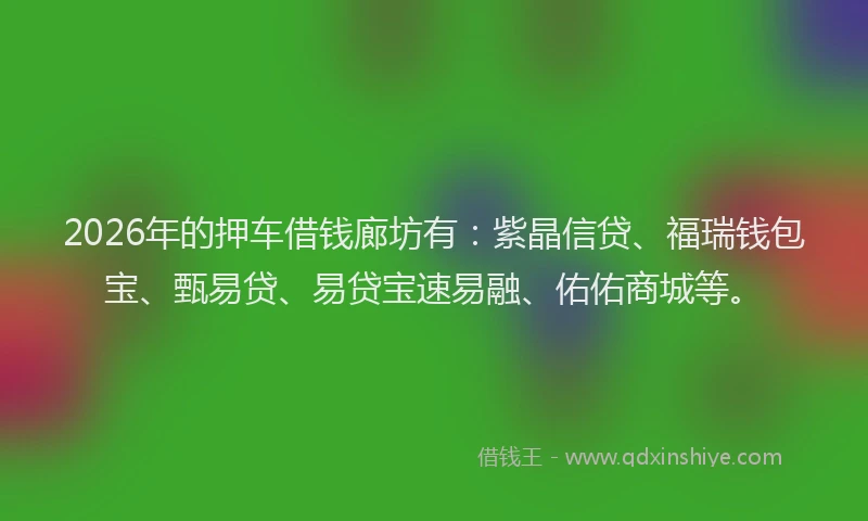 2026年的押车借钱廊坊有：紫晶信贷、福瑞钱包宝、甄易贷、易贷宝速易融、佑佑商城等。