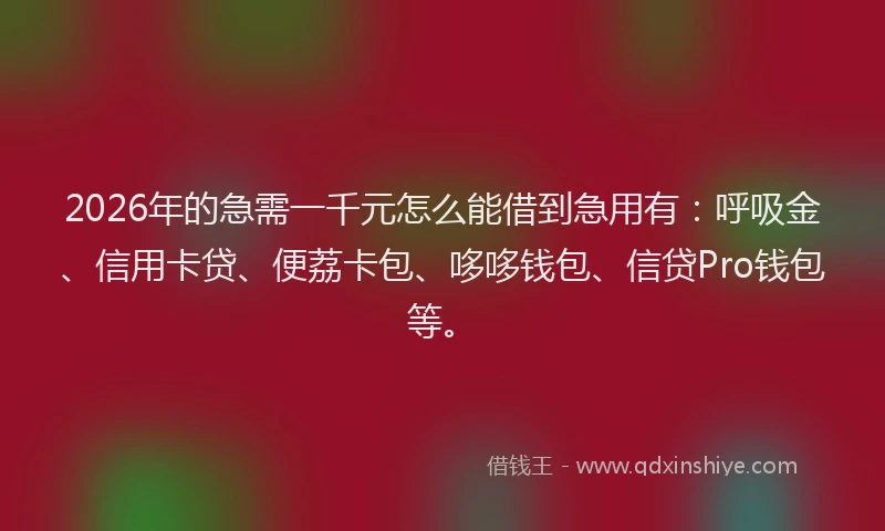2026年的急需一千元怎么能借到急用有:呼吸金、信用卡贷、便荔卡包、哆哆钱包、信贷Pro钱包等。