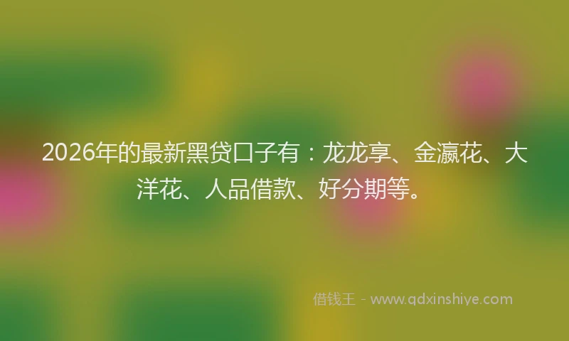 2026年的最新黑贷口子有：龙龙享、金瀛花、大洋花、人品借款、好分期等。