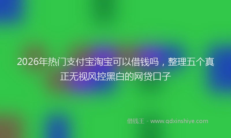 2026年热门支付宝淘宝可以借钱吗，整理五个真正无视风控黑白的网贷口子