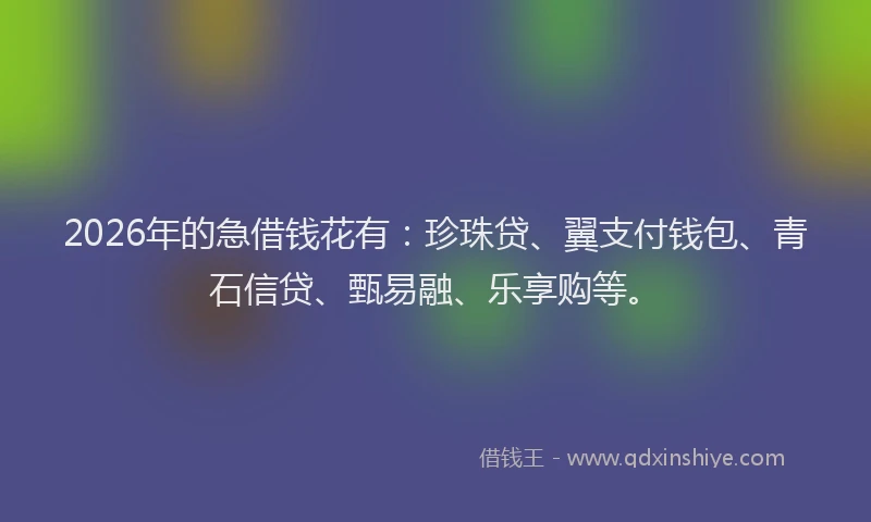 2026年的急借钱花有:珍珠贷、翼支付钱包、青石信贷、甄易融、乐享购等。